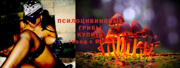 метадон Семёнов