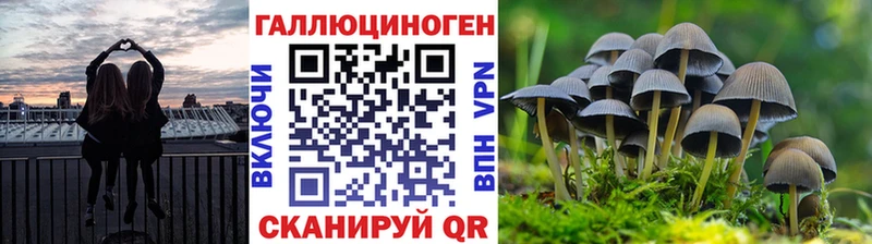 купить наркоту  Собинка  Галлюциногенные грибы MAGIC MUSHROOMS 